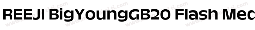 REEJI BigYoungGB20 Flash Medium字体转换